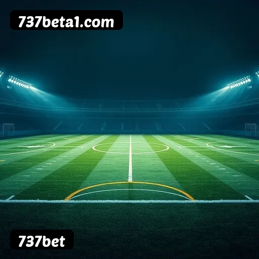 Suporte 24 horas 737bet